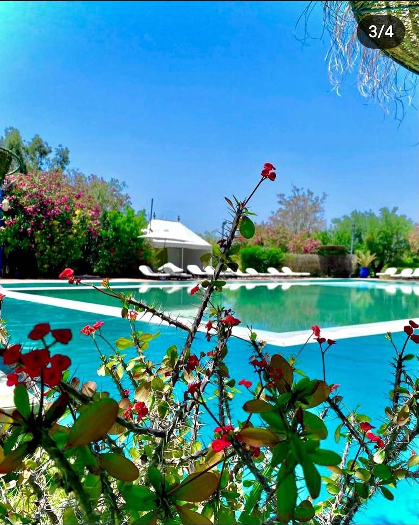 Отель Les Jardins D Isis Марракеш Экстерьер фото